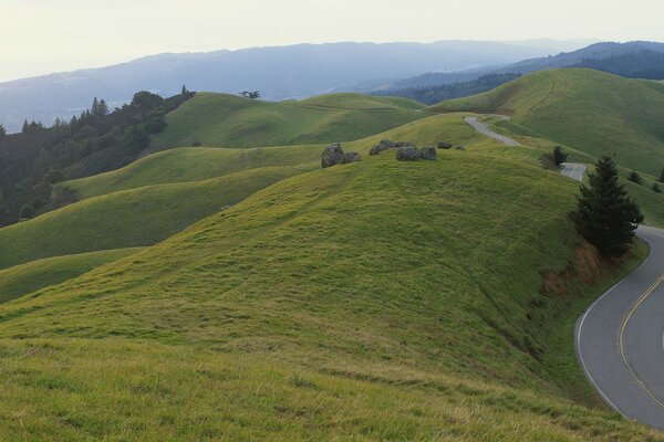 Endless green hills with a driveway