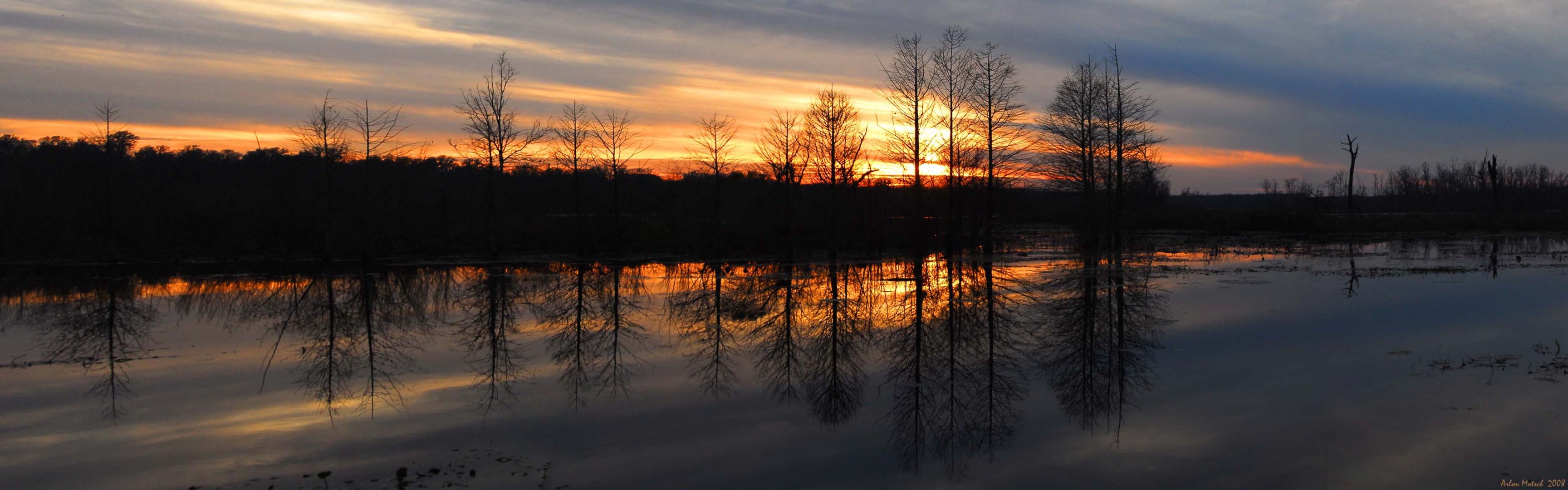 unset river forest
