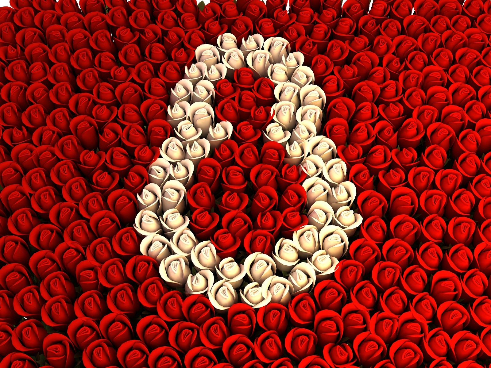march 8 flower roses red background