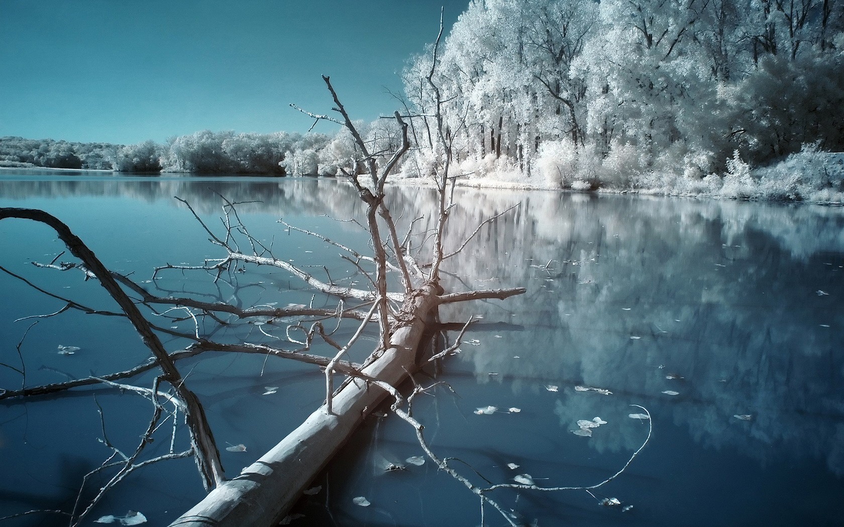winter night lake cool