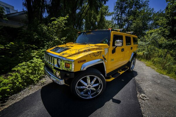 A brutal hummer for vivid impressions