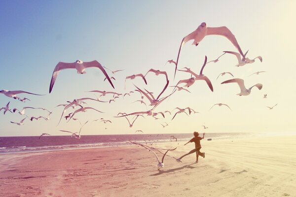 Seagulls on the beach. Sea. Children