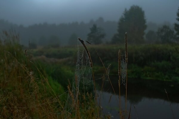 Autumn cool morning on the river bank