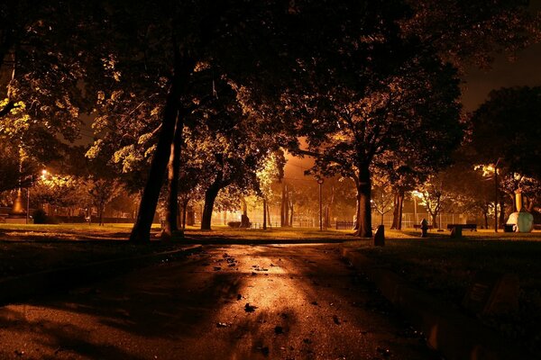 Dark park at night by the light of lanterns