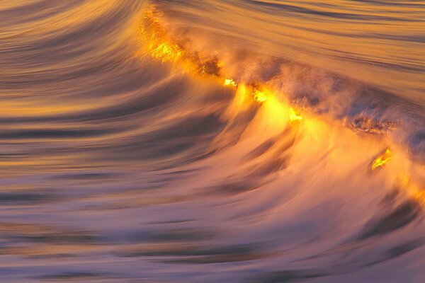 The crest of a wave in the rays of sunset