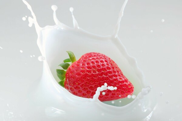 Strawberries in milk with splashes drawing