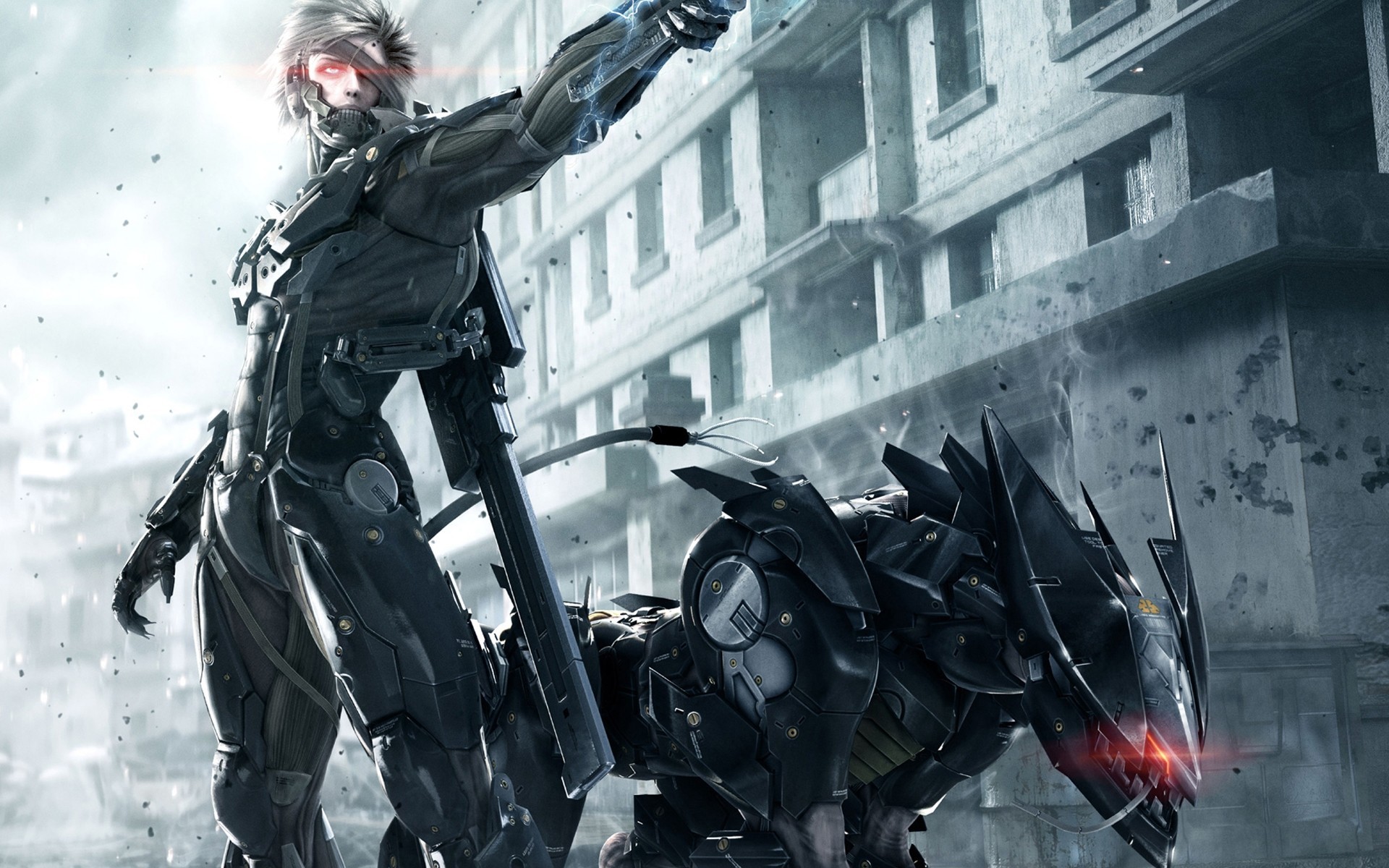 tealth action equipment raiden
