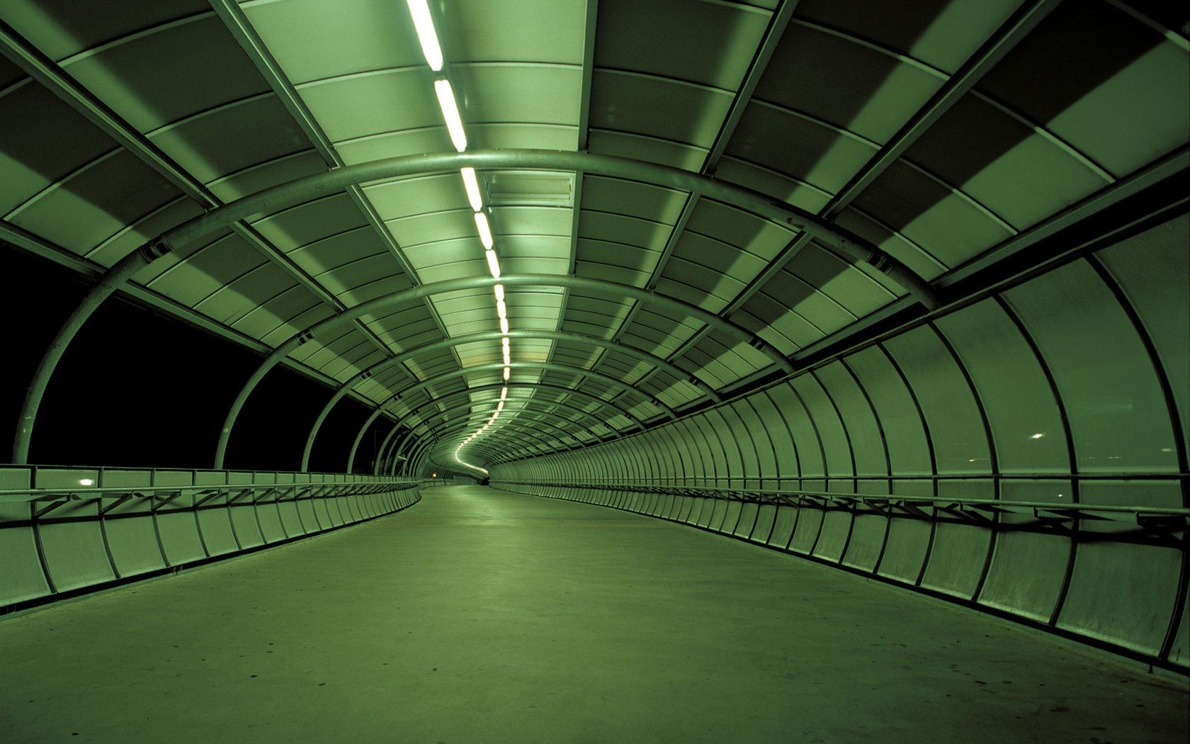 transition green bulb