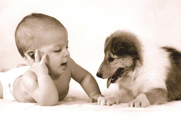 The kid is chatting and playing with the doggie