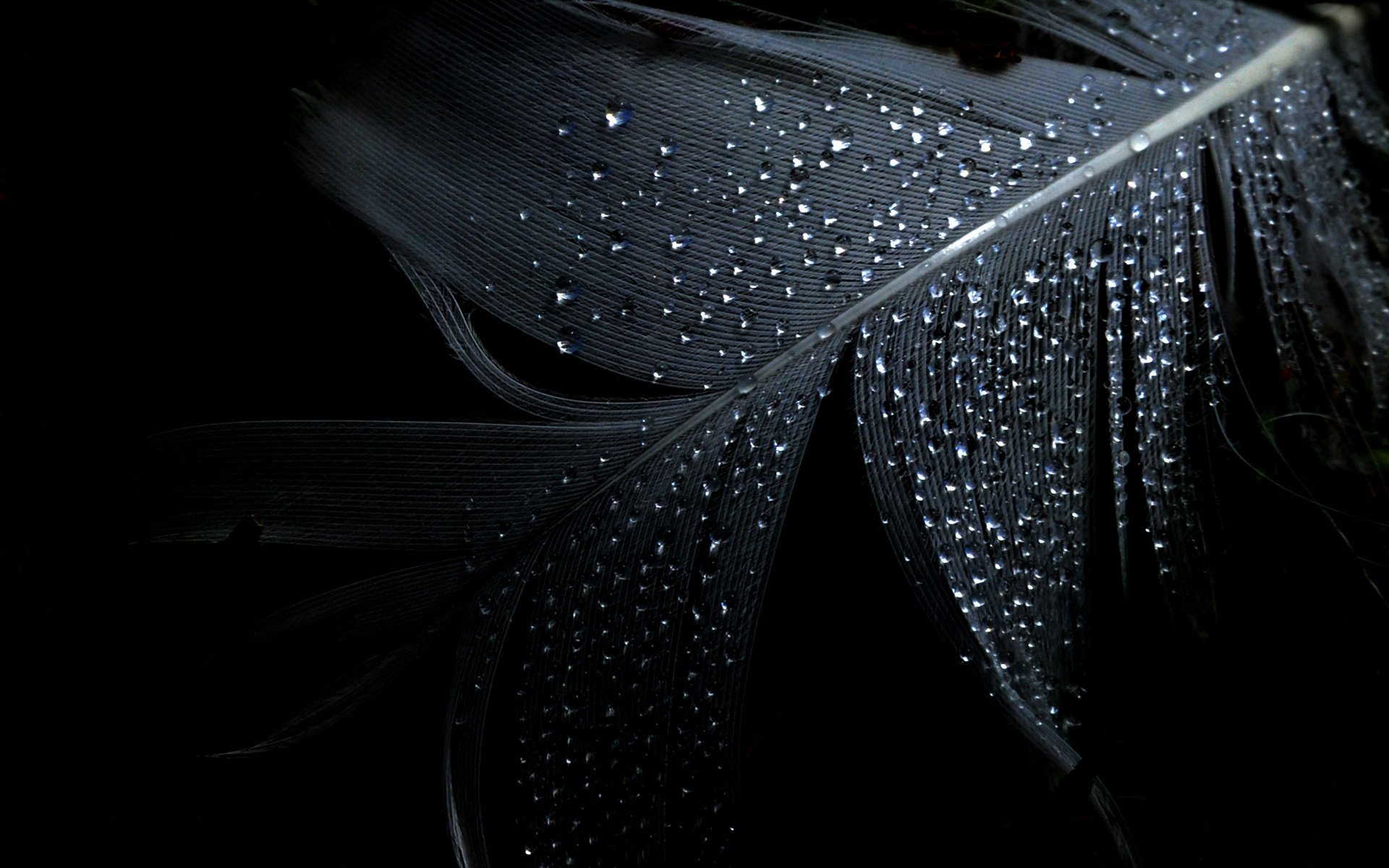 background minimalism pen black drop