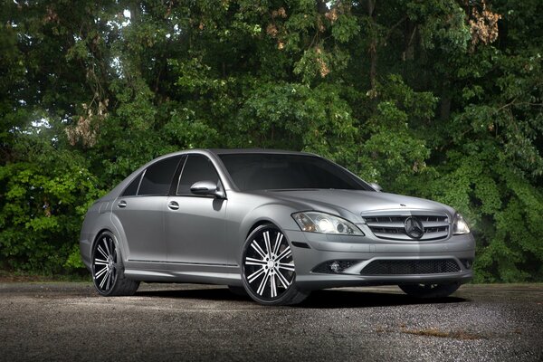 Silver Mercedes on the background of the forest