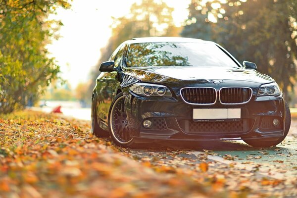 Bmw on the background of autumn leaves