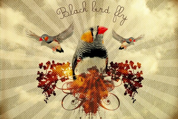 Birds with a bright color. Flight of a bird