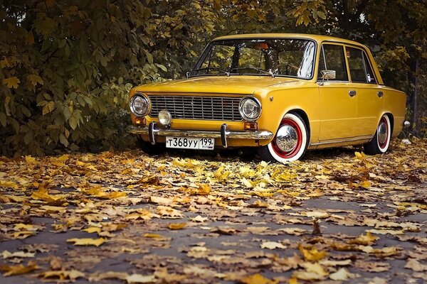 Retro classics in autumn leaves
