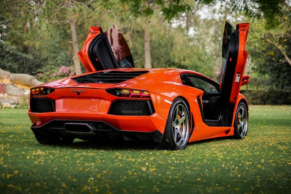 Orange Lamborghini for real gourmets