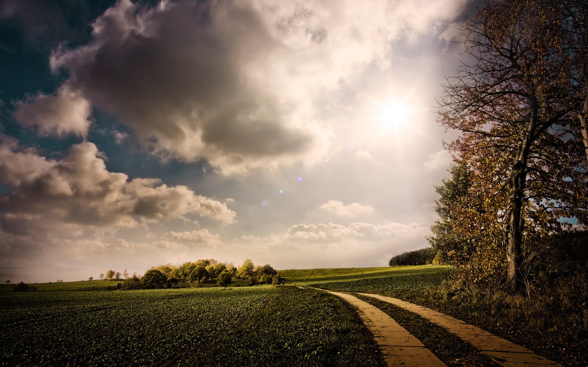 un nature road green clouds tree sky