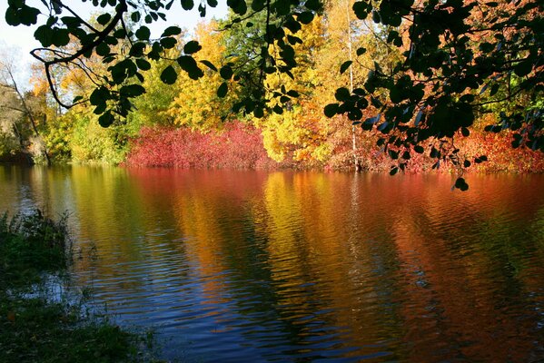 Nature is especially rich in colors in autumn