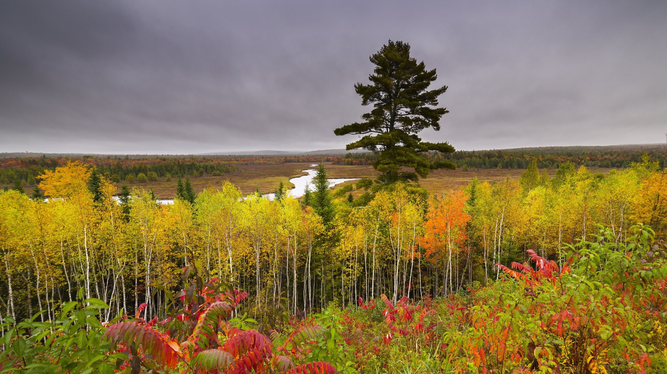 nature river autumn forest birch beautiful hills sky rain