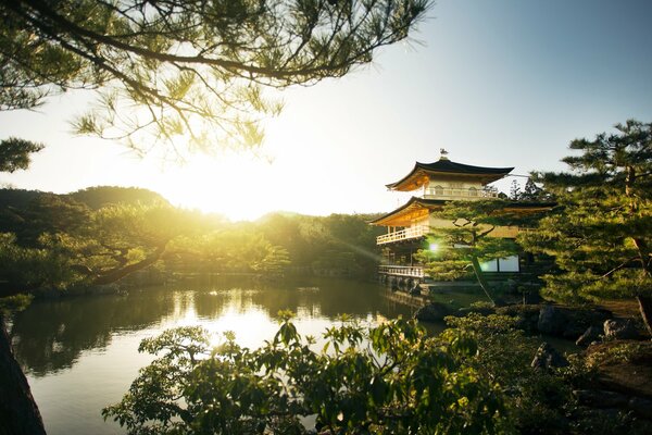 Architecture of the golden palace surrounded by trees
