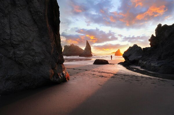 Morning sandy beach by the ocean