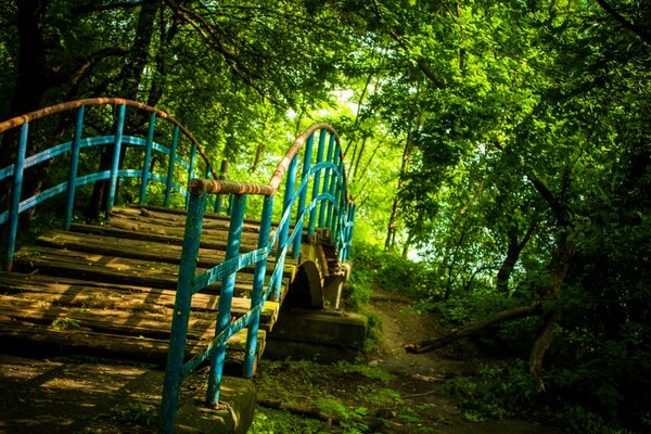 Old bridge on the background of the forest