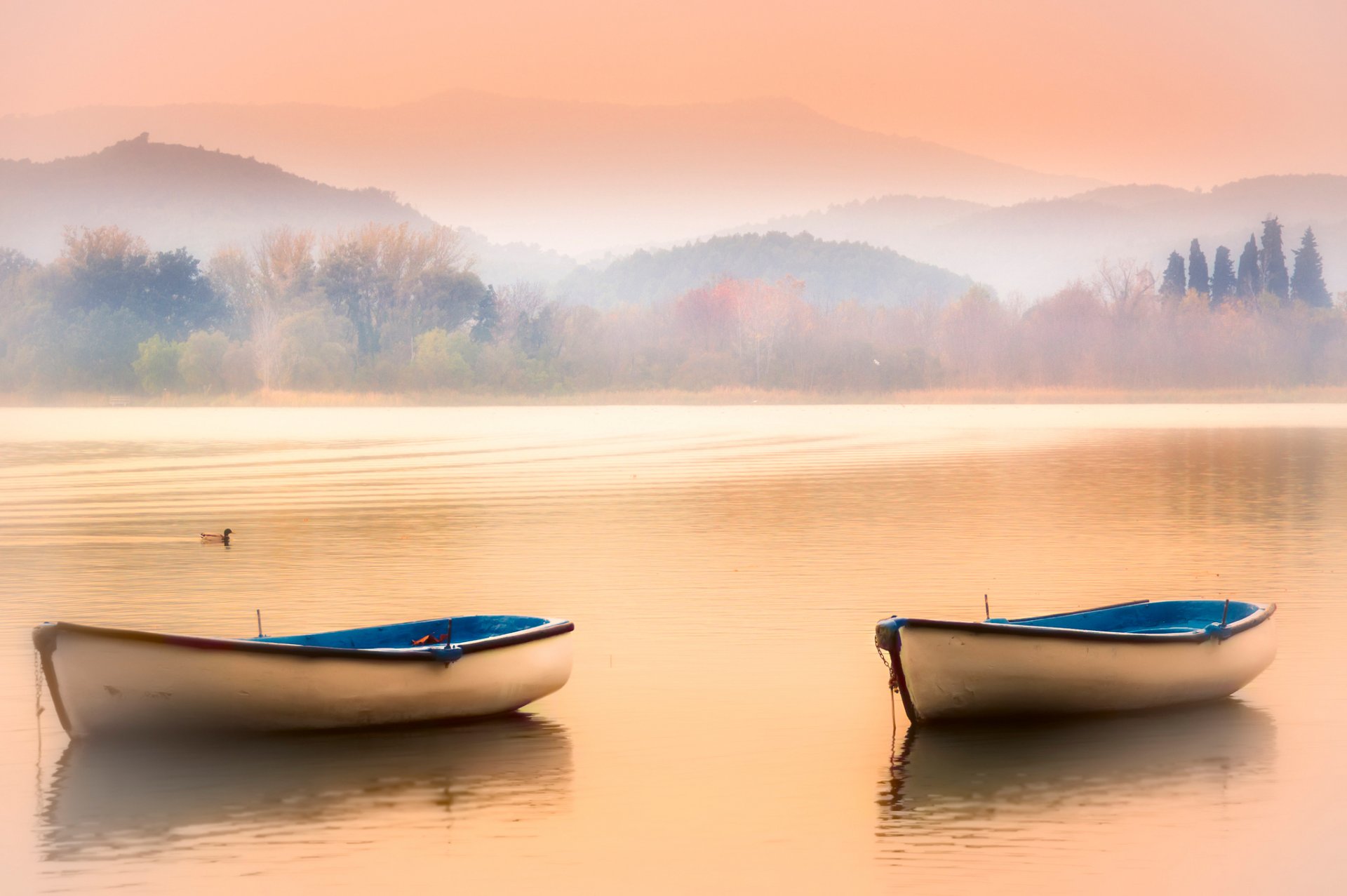 ky mountain lake fog boat duck