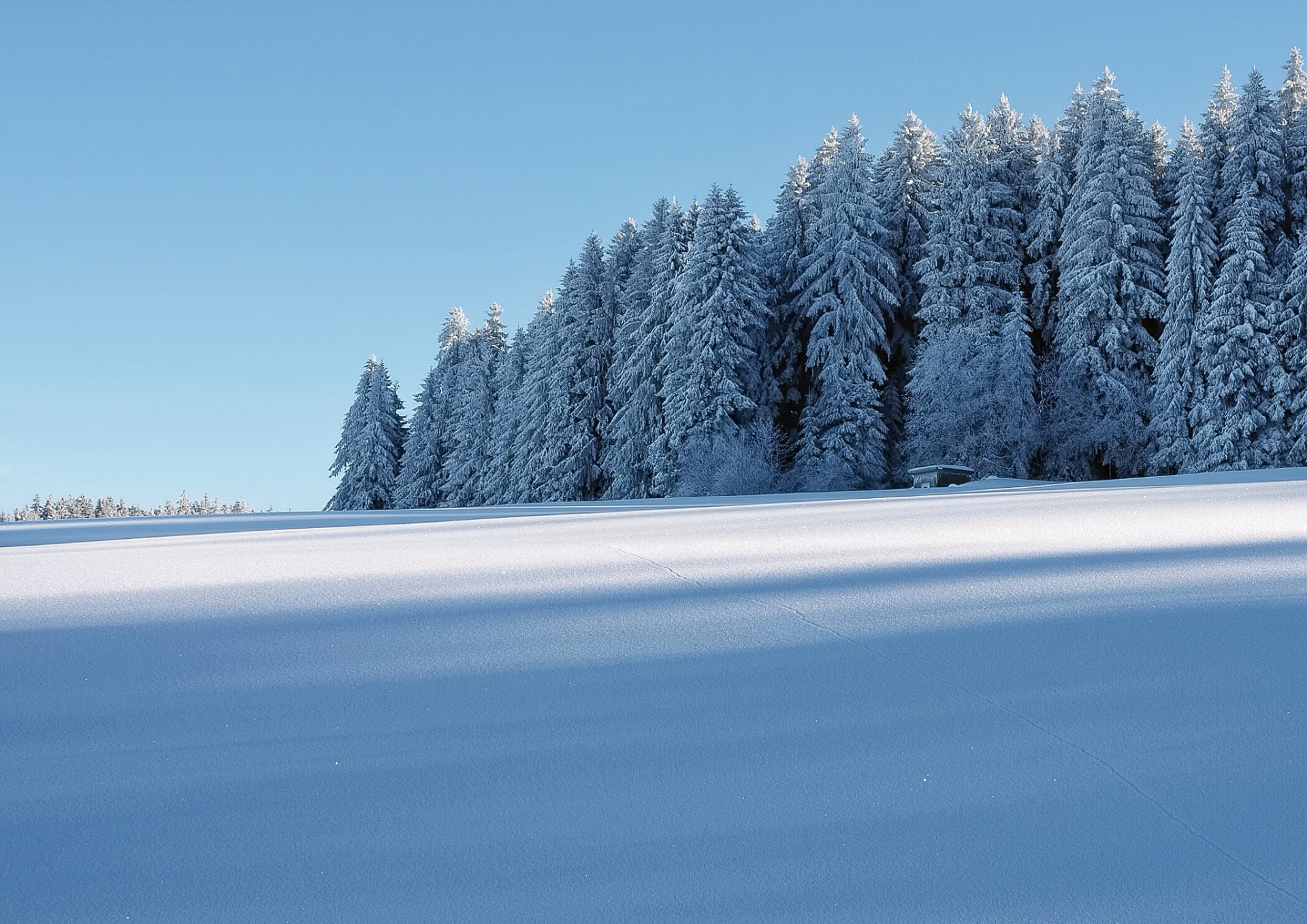 winter snow forest house frost