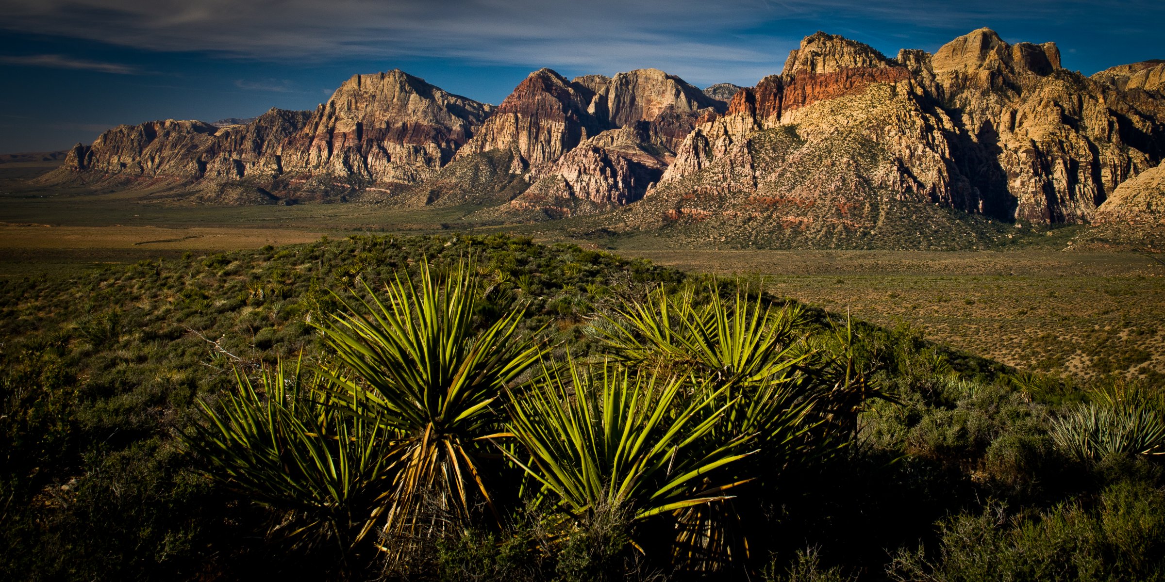 yucca desert las vegas red rock canyon canyon