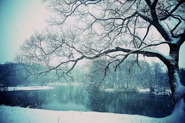 Winter lake in the early morning