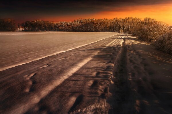 Winter walk through the snow fields