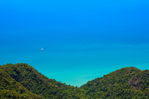 Top view of the jungle and turquoise beautiful ocean