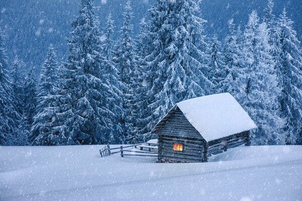 A snow-covered lonely house stands in the forest