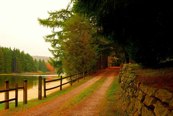 Walk through the colorful park
