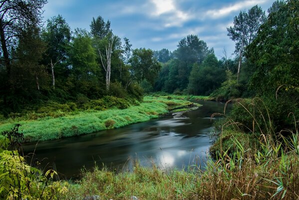 Beautiful Canadian landscape. River in the forest