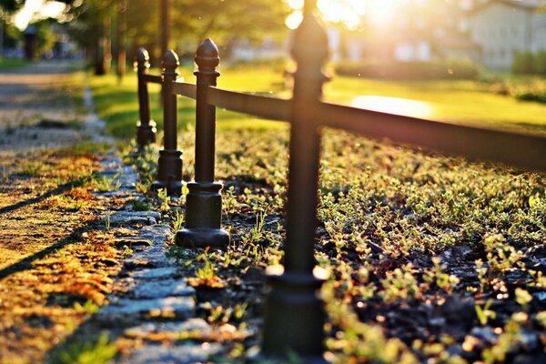 Autumn sunset in the city park