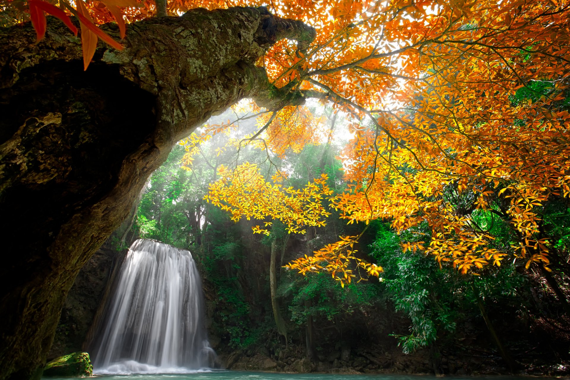 nature water waterfall forest park trees leaves colorful autumn fall colors tree