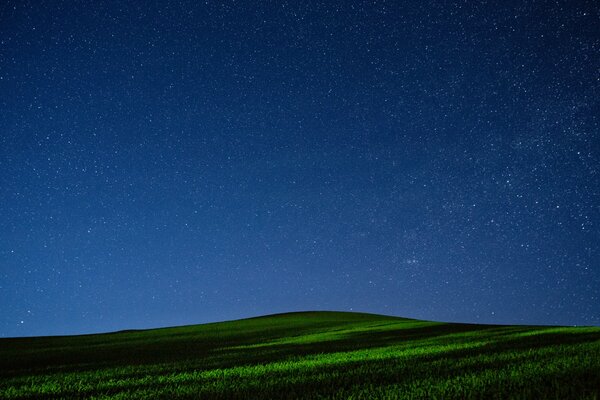 Starry night in the field