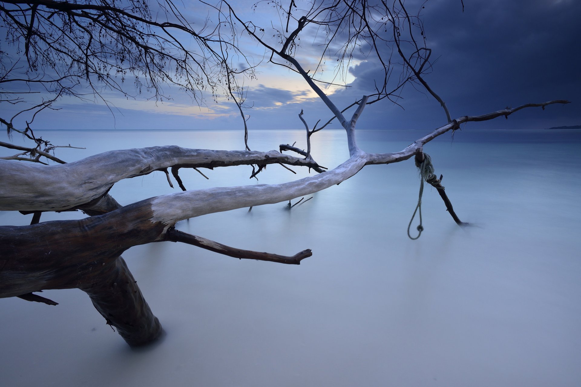 eychelles archipelago praslin island ocean beach clouds tree