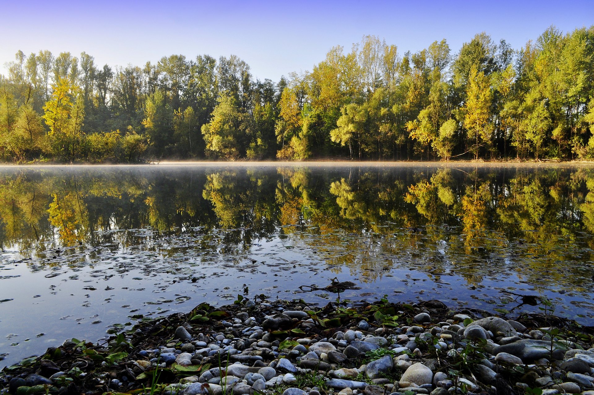 lake river stones forest tree reflection