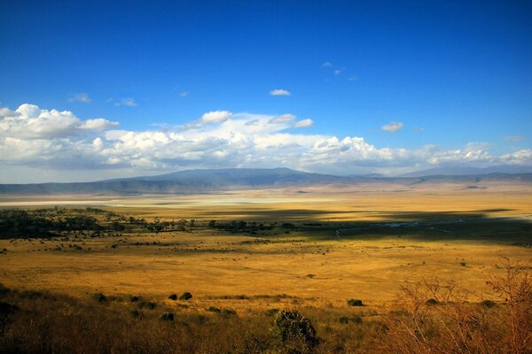 Endless field under the azure sky