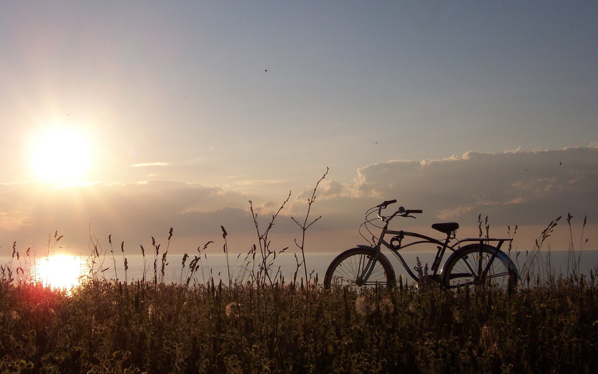 bike sun gra