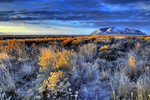 Grass in frost. A mountain in the distance
