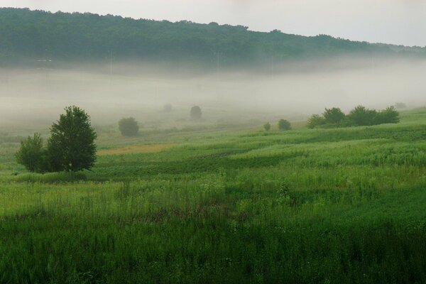 A green plain covered with thick fog