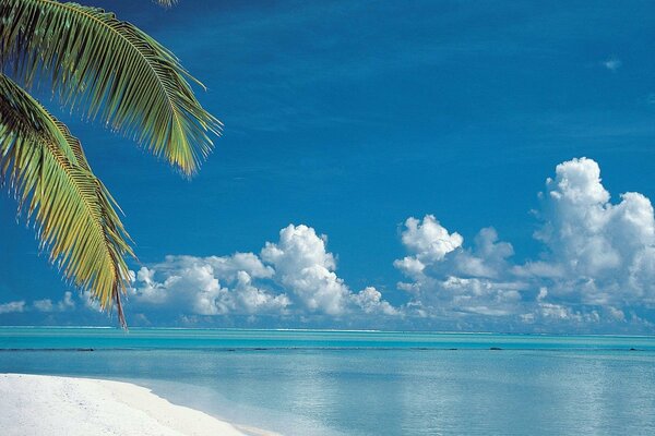 A paradise with a blue sea