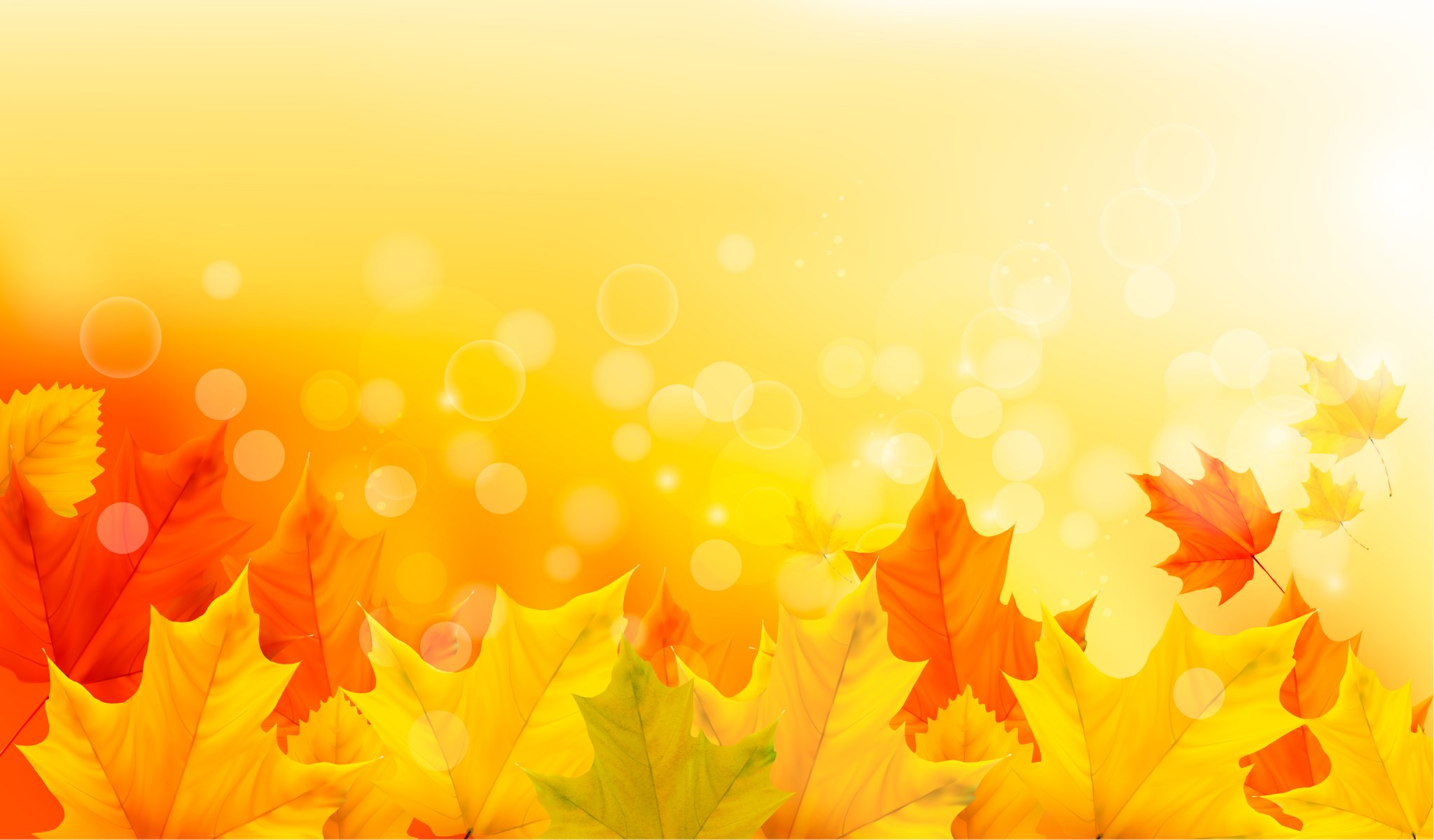 autumn leaves maple autumn background