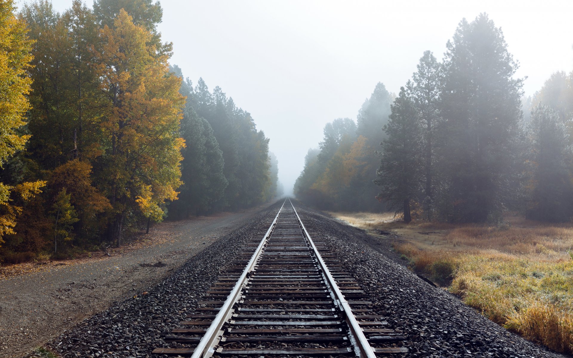 road autumn fog