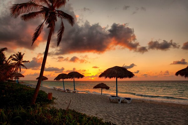 Tropical beach at sunset