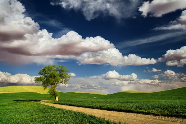 The road runs through a green field