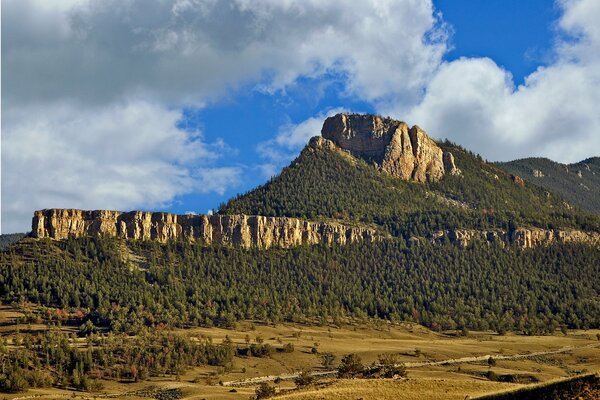 Mountain range in the valley of forests