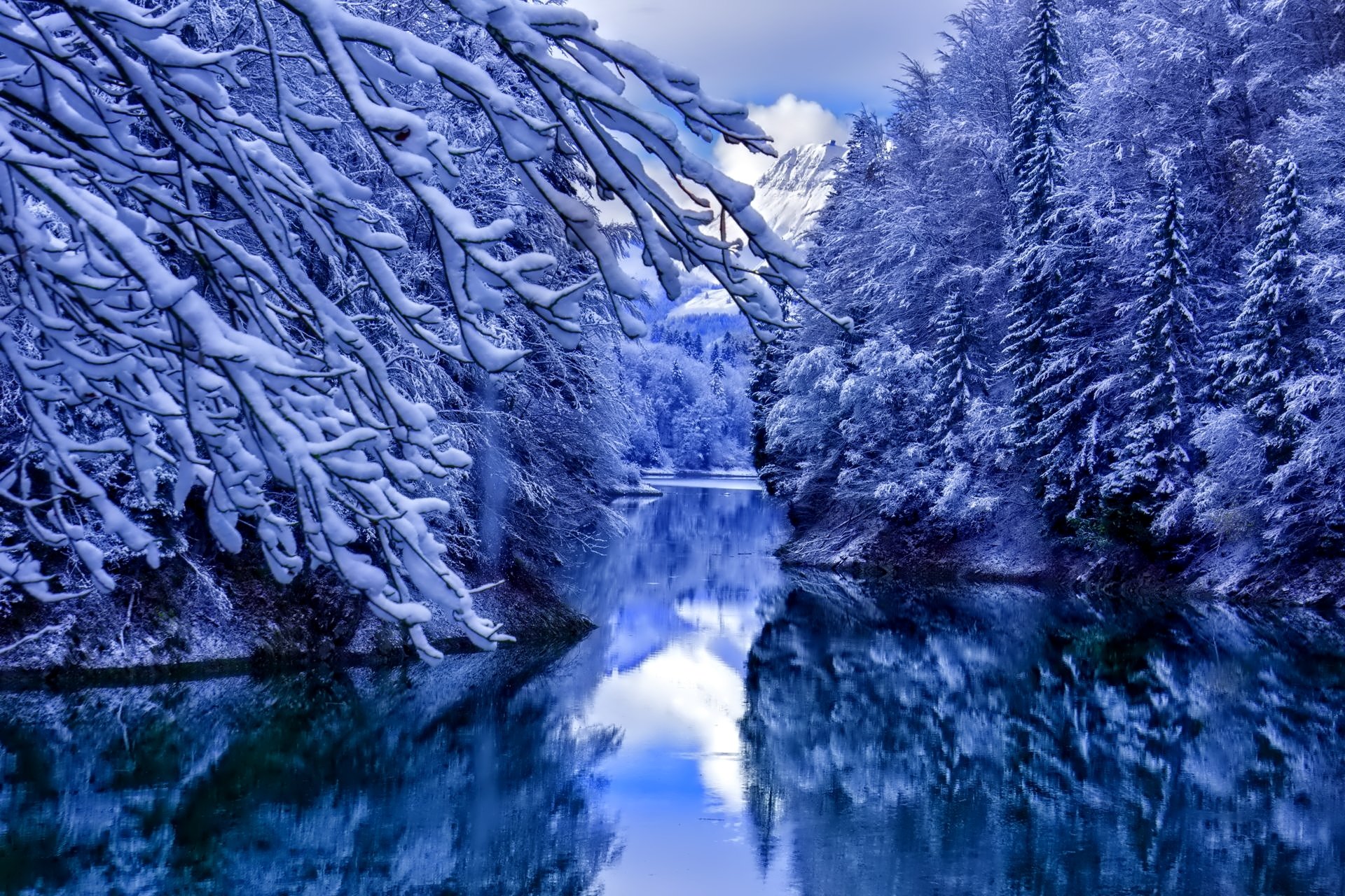 winter snow tree water reflection
